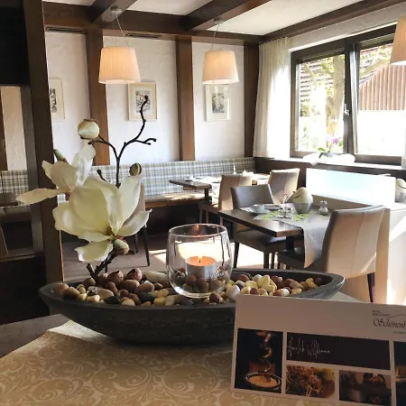 Schönenberger Hof Hotel Orsingen-Nenzingen