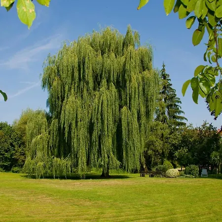 Schoenenberger Hof *