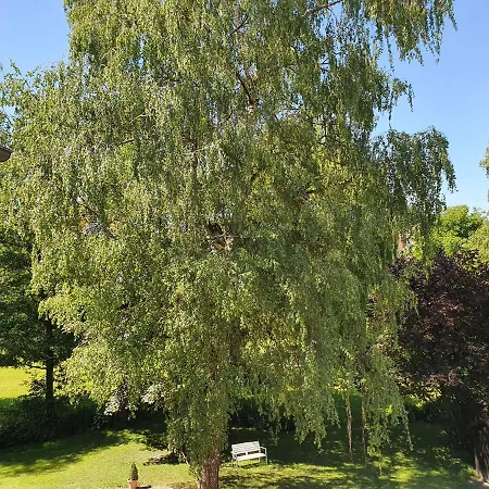 Schoenenberger Hof Hotel Orsingen-Nenzingen